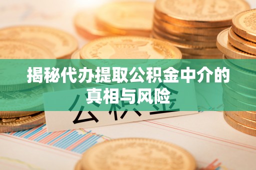 梨树县揭秘代办提取公积金中介的真相与风险