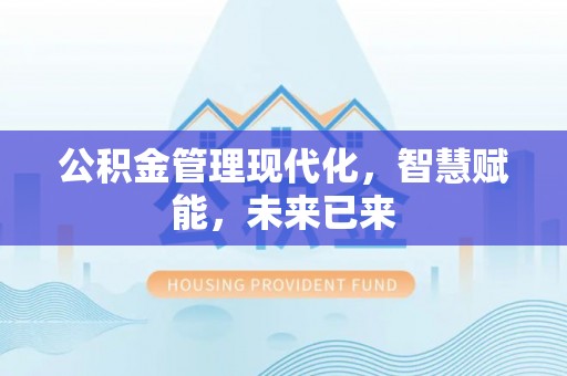梨树县公积金管理现代化，智慧赋能，未来已来