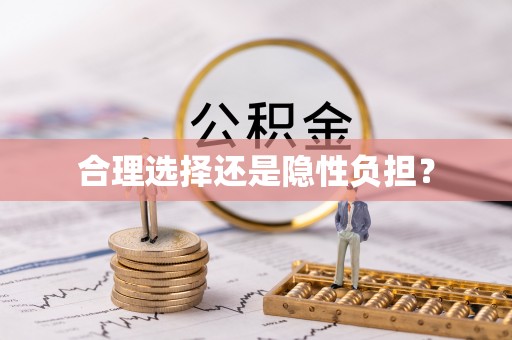 梨树县合理选择还是隐性负担？
