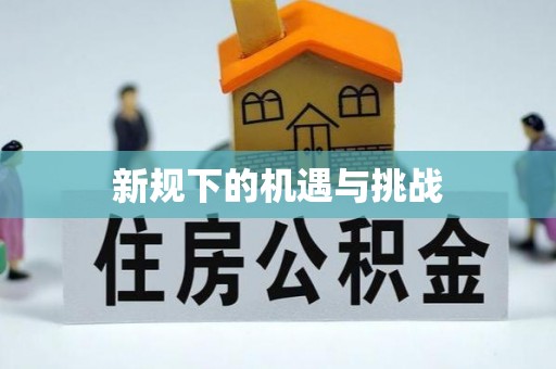梨树县新规下的机遇与挑战