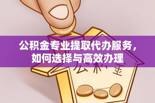 梨树县公积金专业提取代办服务，如何选择与高效办理