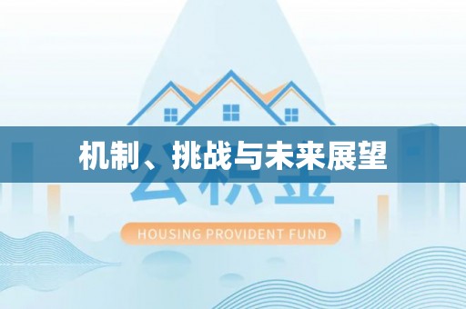 梨树县机制、挑战与未来展望